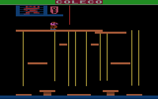 Donkey Kong Jr. Screenshot