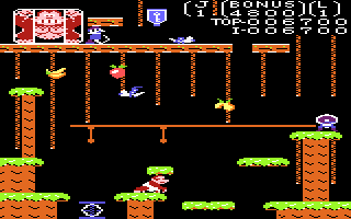 Donkey Kong Jr. Screenshot