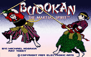 Budokan: The Martial Spirit Screenshot