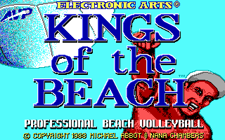 Kings of the Beach Screenshot