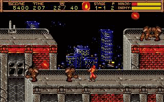 Ninja Gaiden II: The Dark Sword of Chaos Screenshot