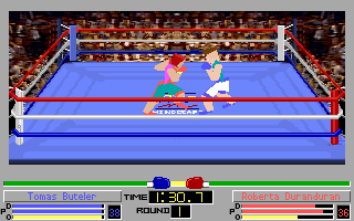 4D Sports Boxing Screenshot