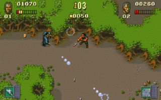 Chaos Engine, The Screenshot
