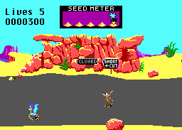 Road Runner Screenshot