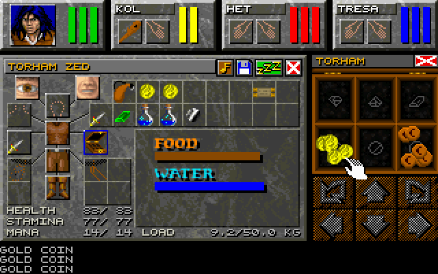 Dungeon Master II: The Legend of Skullkeep Screenshot