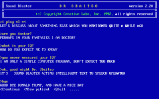 Dr. Sbaitso Screenshot