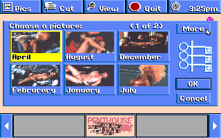 Penthouse Electric Jigsaw Screenshot