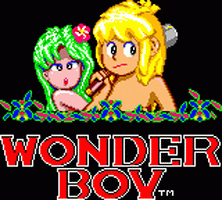 Wonder Boy Screenshot