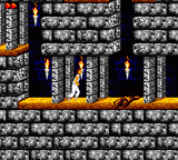 Prince of Persia Screenshot