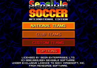 Championship Soccer ’94 Screenshot