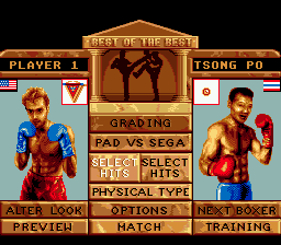 Best of the Best Championship Karate Screenshot