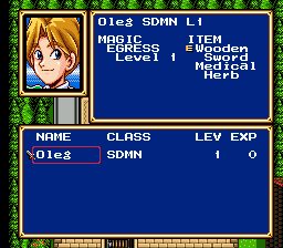 Shining Force II Screenshot
