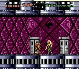 Battletoads & Double Dragon Screenshot