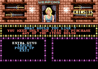 Double Dragon III: The Sacred Stones Screenshot