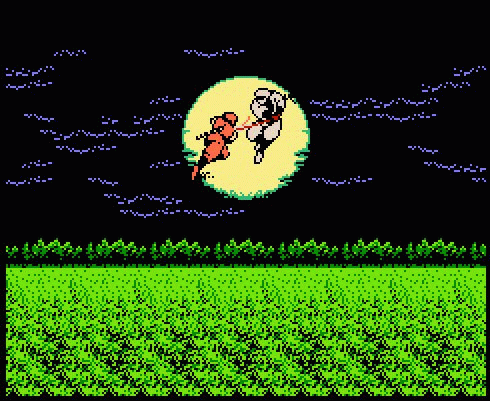 Ninja Gaiden Screenshot