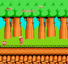 Hudson’s Adventure Island Screenshot
