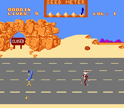 Road Runner Screenshot