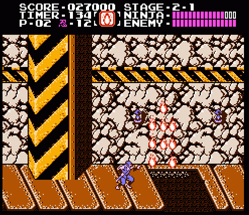 Ninja Gaiden Screenshot