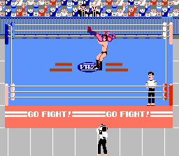 Pro Wrestling Screenshot