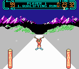 Slalom Screenshot