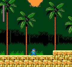 Mega Man 5 Screenshot