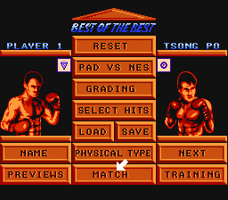 Best of the Best Championship Karate Screenshot