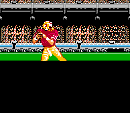 Tecmo Super Bowl Screenshot
