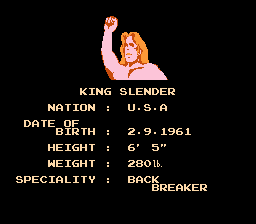 Pro Wrestling Screenshot