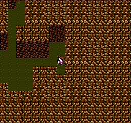 Final Fantasy III Screenshot