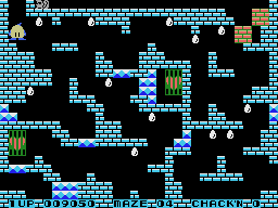 Chack’n Pop Screenshot