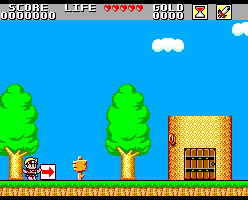 Wonder Boy in Monster Land Screenshot