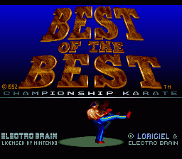 Best of the Best Championship Karate Screenshot