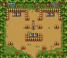 Disney’s Goof Troop Screenshot