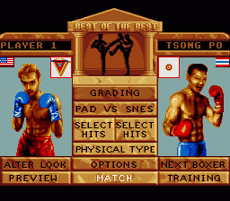 Best of the Best Championship Karate Screenshot