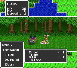 Dragon Quest I & II Screenshot