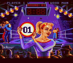 Best of the Best Championship Karate Screenshot