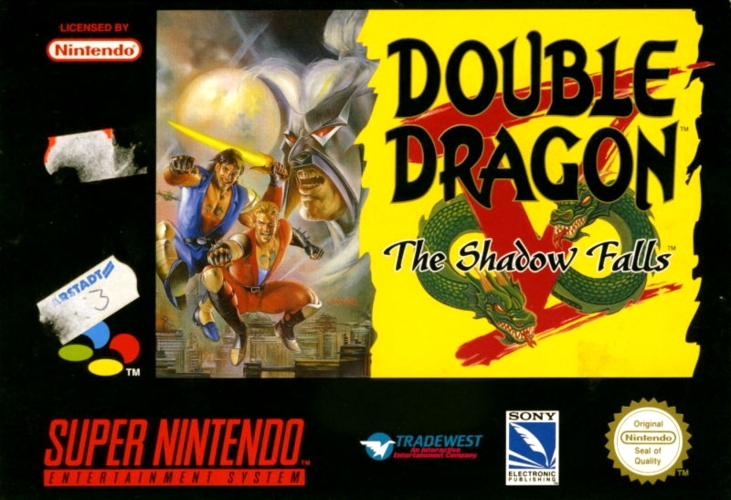 Double Dragon V: The Shadow Falls cover art