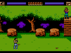Lethal Weapon (Europe) cover art