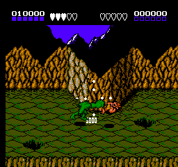 Battletoads (USA) cover art