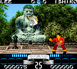 International Karate 2000 (Europe) cover art