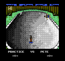 Skate or Die! (USA) cover art