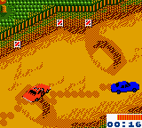 Dukes of Hazzard, The – Racing for Home (USA) cover art