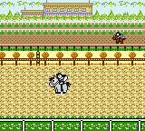Pocket GI Stable (Japan) cover art