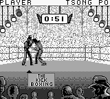 Kick Boxing, The (Japan) cover art