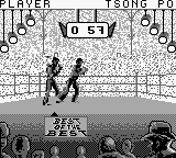Best of the Best – Championship Karate (USA) cover art