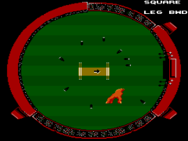 International Cricket (Australia) (Beta) cover art