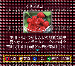 BS Fenek – 6 Getsu (Japan) cover art