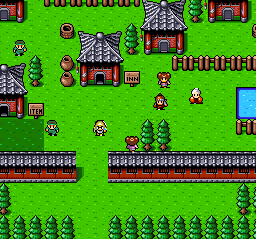 Super Ninja Boy (USA) cover art