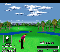 World Masters Golf (Europe) cover art
