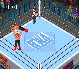 Super Fire Pro Wrestling (Japan) cover art